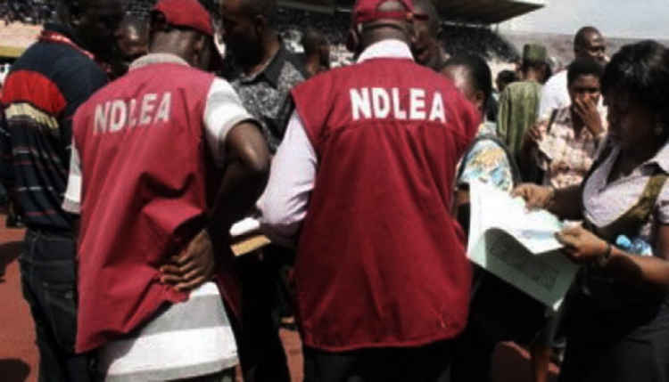 NDLEA intercepts 607 cartons with over 11m tramadol tablets - Orient Daily News