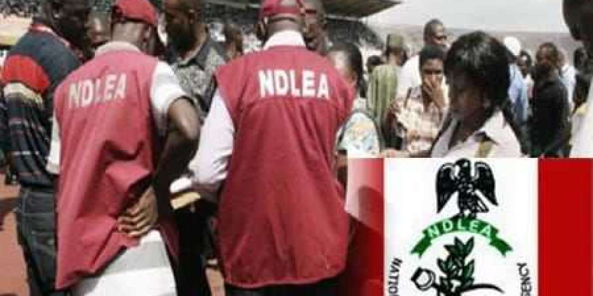 COVID-19: FG Suspends Screening Of 5,000 Successful Candidates For NDLEA