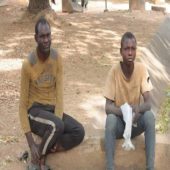 Livestock Guards arrest suspected cattle rustlers in Benue - News Centric