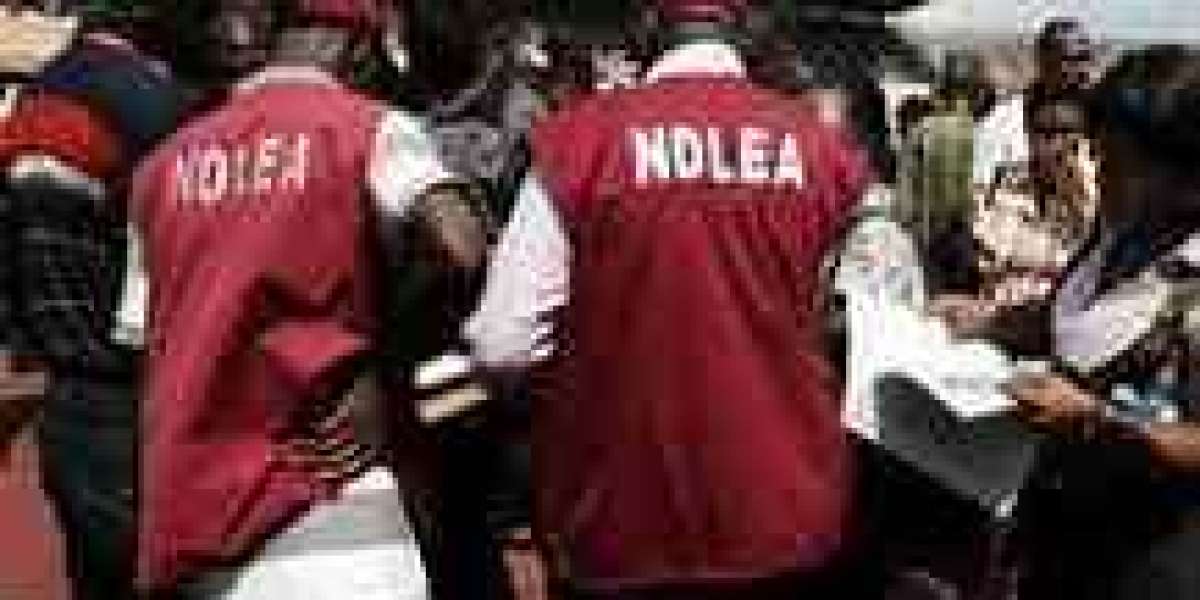 NDLEA Speaks On Sack Of Its Chairman, Abdallah