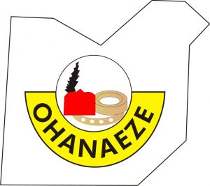 Ohanaeze hasnt spoken on IPoB Leaders Arrest  GMT News