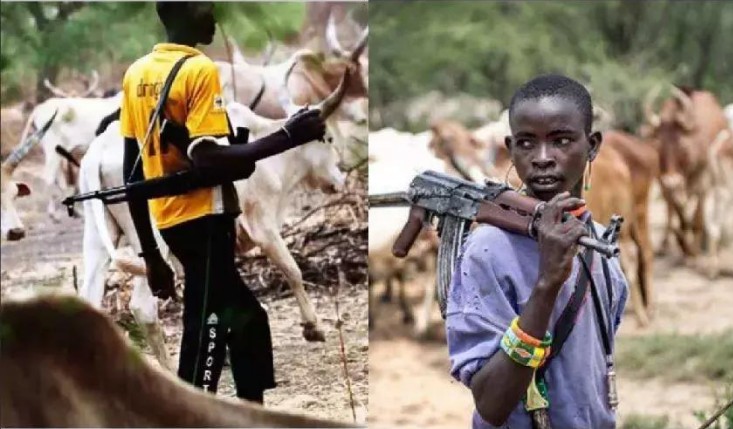 Herdsmen Must Be Protected, Treat Well, They Are Nigerians - Says APC Lawmaker - Ibom Focus