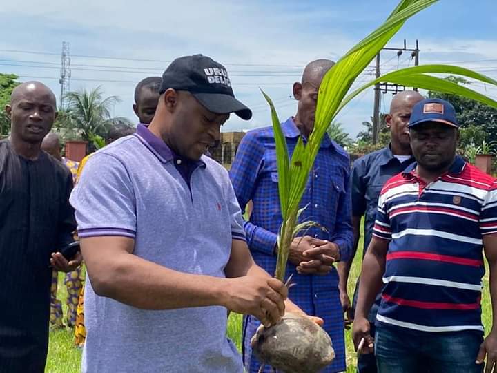 PHOTOS: Uruan Council Boss Lead In Coconut Planting Exercise - Ibom Focus