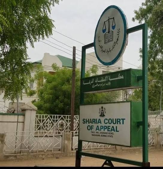 N345m missing from accounts of Kano Sharia Court; Nigerians react - Insight Multi-Links Media