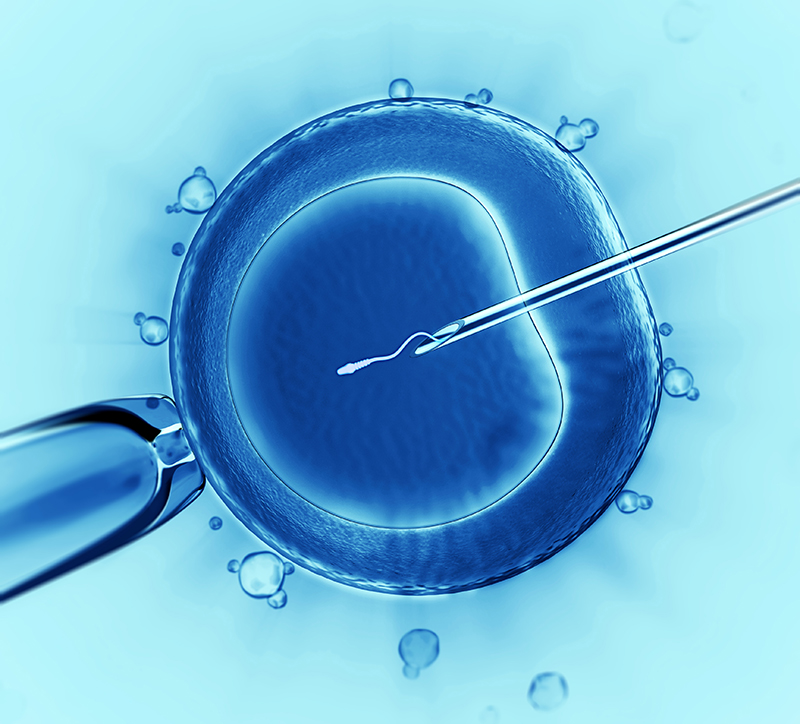 In Vitro Fertilisation Treatment in Kota, Rajasthan