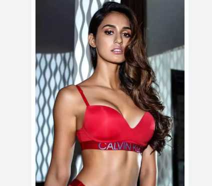 Disha patani net worth