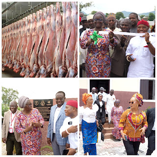 NANTS Launches Cutting-Edge Abattoir and Meat Factory in Giri-Abuja