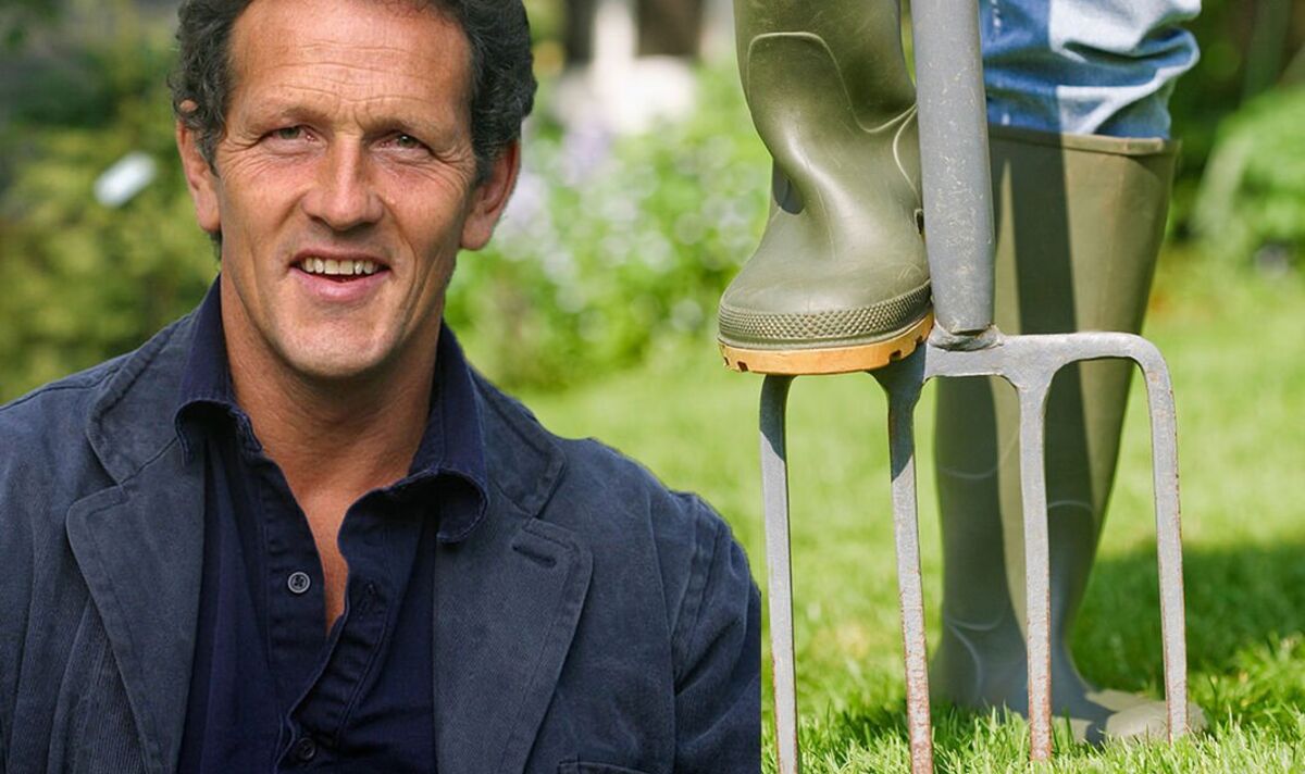 Monty Don shares two lawn care tasks to do now to ‘rejuvenate’ grass for spring – Bunady